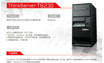 聯(lián)想TS230 S2130服務器 適合中小企業(yè)的入門級雙核塔式服務器
